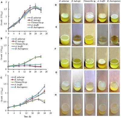 Biofilm Formation, Production of Matrix Compounds and <mark class="highlighted">Biosorption</mark> of Copper, Nickel and Lead by Different Bacterial Strains